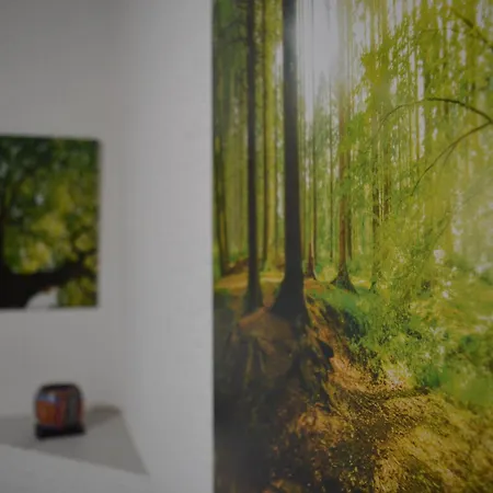 Familienfreundliche Grasellenbach