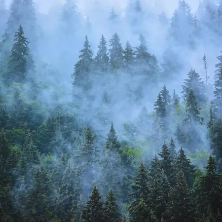 Familienfreundliche Apartment Grasellenbach